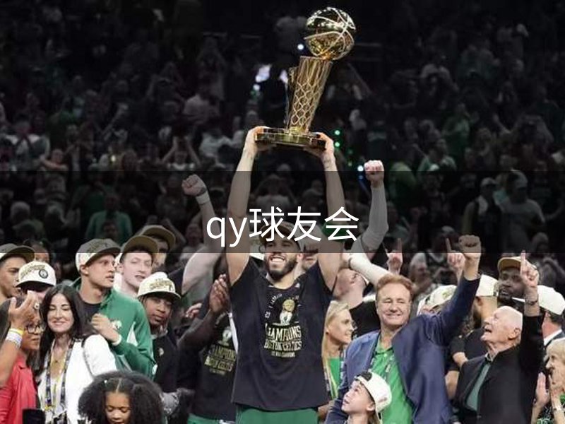公司介绍